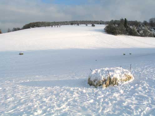 Hinchee Hung Boulder-in-snow