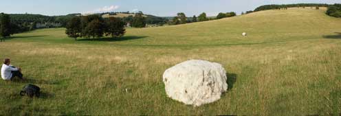 Hinchee Hung Boulder at West Dean Gardens