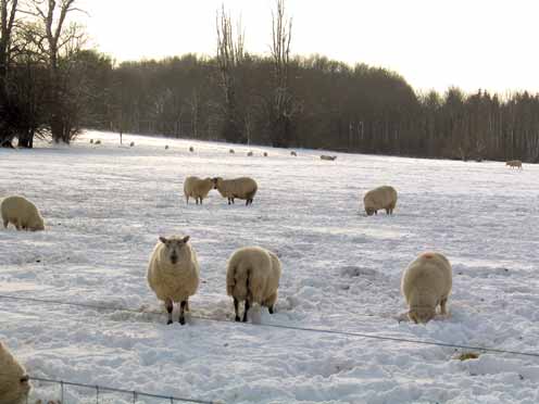 Hinchee Hung Boulder-visitors2