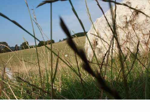 Hinchee-Hung-Boulder02