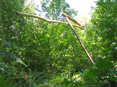 Hinchee-Hung-Equilibrium1