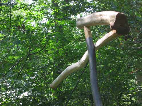 Hinchee-Hung-Equilibrium3