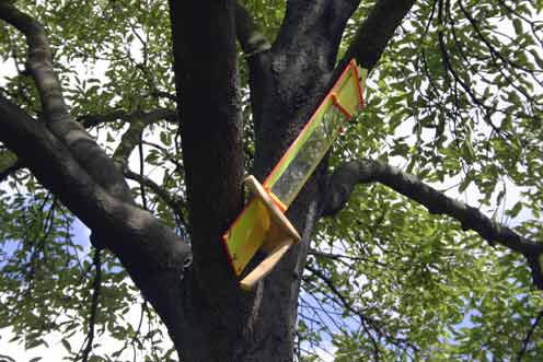 Hinchee Hung Flock#102