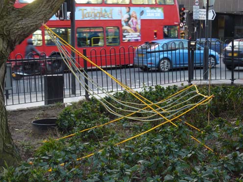 Hinchee Hung Flock#2