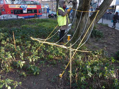 Hinchee Hung Flock#2