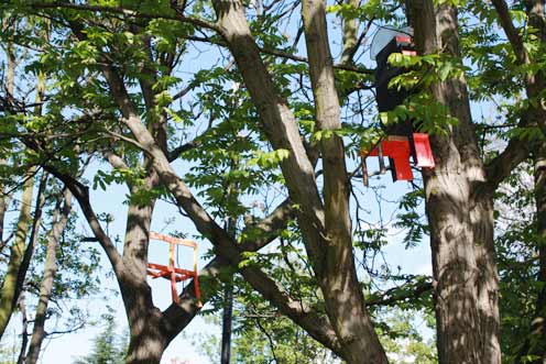 Hinchee Hung Flock#103