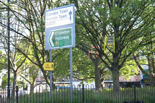 Hinchee Hung Flock#105