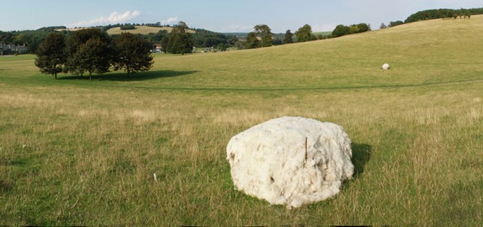 Hinchee-Hung-Boulder01