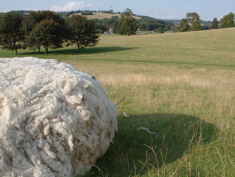 Hinchee-Hung-Boulder02