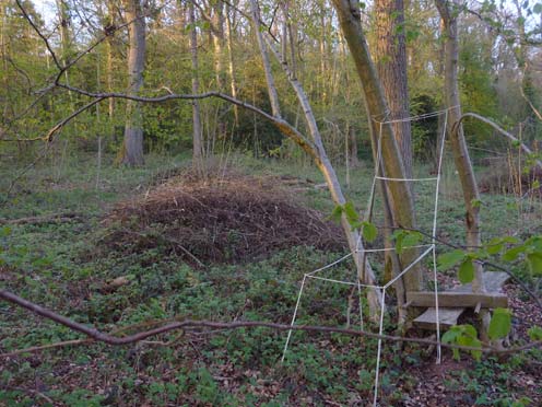 Hinchee-Hung-Drawing-in-space03