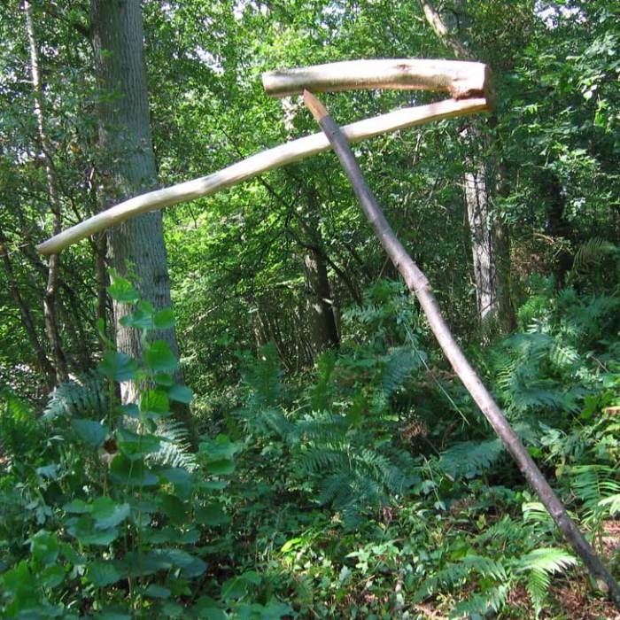 Hinchee-Hung-Equilibrium