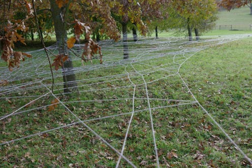 Hinchee Hung Leafcatcher105