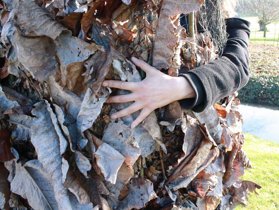 Hinchee-Hung-Leaf-catcher#2