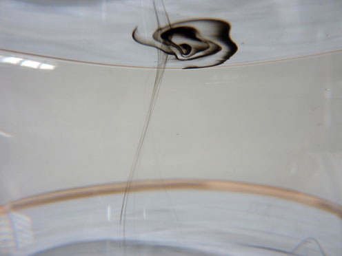 Hinchee-Hung-pigment03