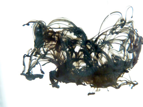 Hinchee-Hung-pigment06