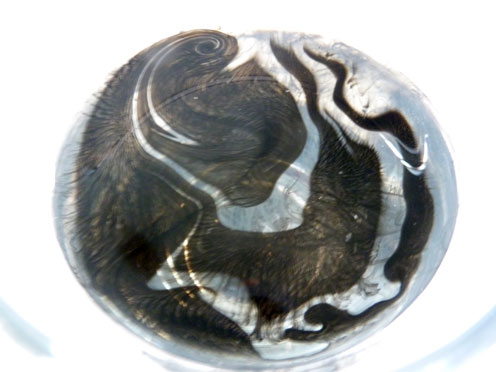 Hinchee-Hung-pigment09