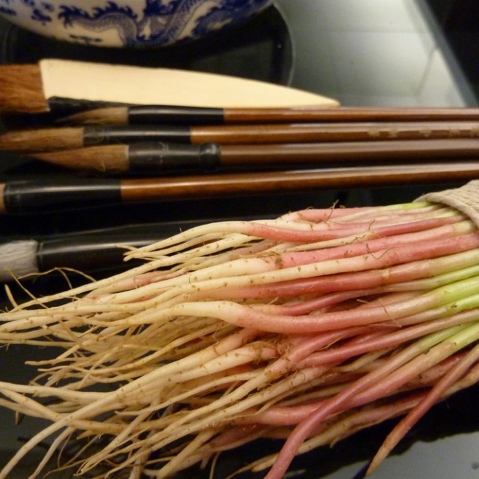 Hinchee-Hung-Spinach-brush