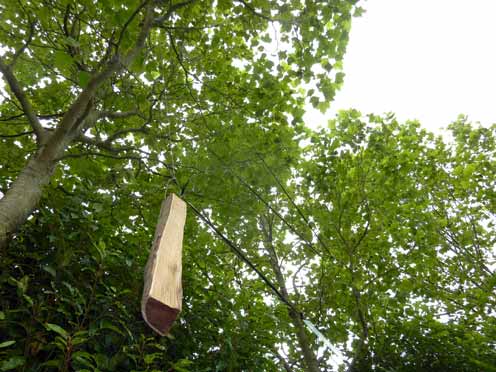 Hinchee Hung In-tension-03