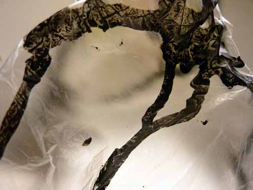 Hinchee Hung ink drawings