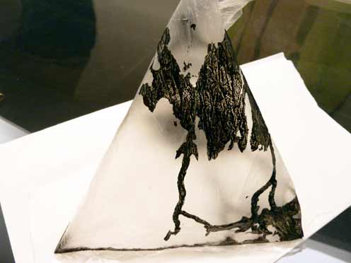 Hinchee Hung ink drawings