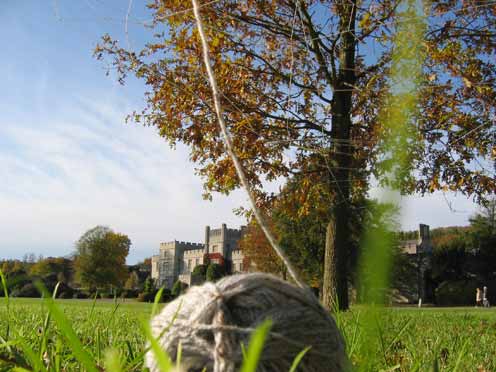 Hinchee Hung Leafcatcher101