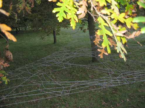 Hinchee Hung Leafcatcher104