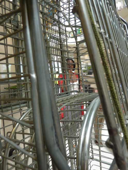 In transit Rattled01