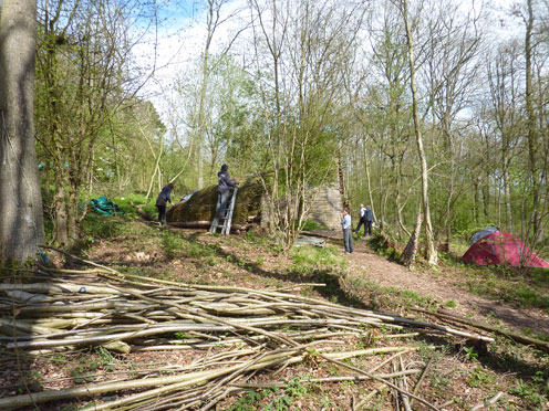 Clisset Wood development week8