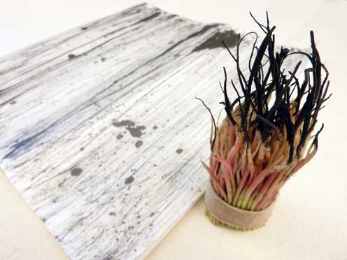 Hinchee Hung experiment spinach brush