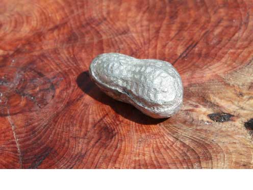 Hinchee Hung Squirrel-chastiser04