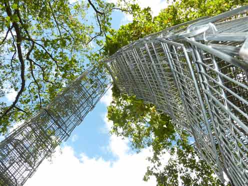 Totem - Clarence House gardens