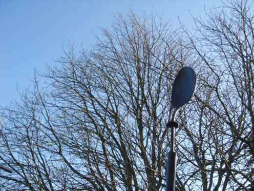 Hinchee-Hung-In-trap-formation6