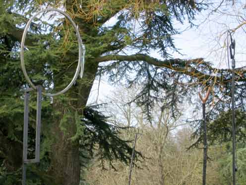 Hinchee-Hung-In-trap-formation7